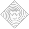 A Feline Head in a swirling Mane